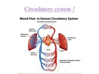Circulatory system !