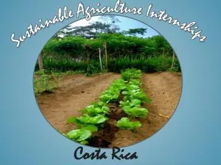 Sustainable Agriculture Internships