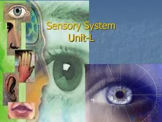 Sensory System Unit-L