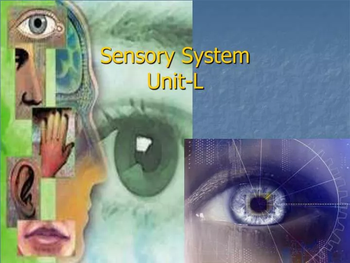 sensory system unit l
