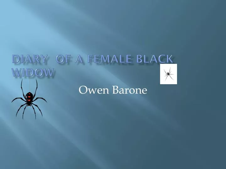 diary of a female black widow