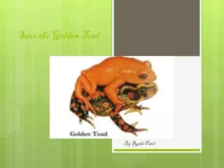 Save the Golden Toad
