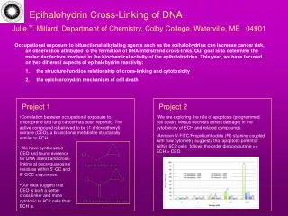 Epihalohydrin Cross-Linking of DNA