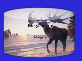 Megaloceros