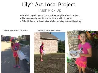 lily s act local project