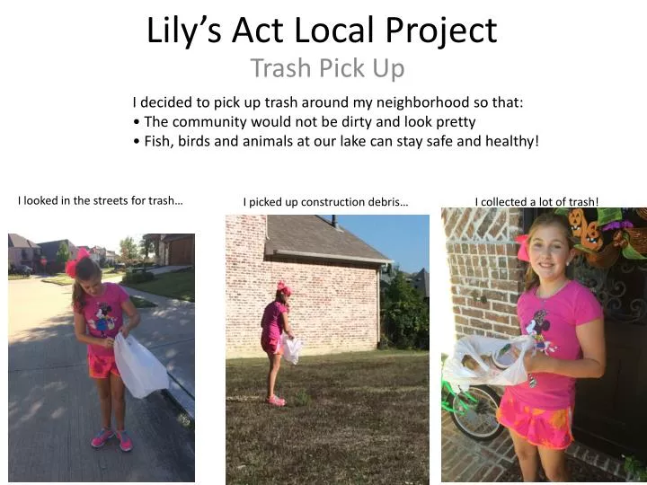 lily s act local project