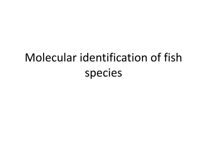 molecular identification of fish species