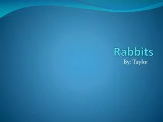 Rabbits