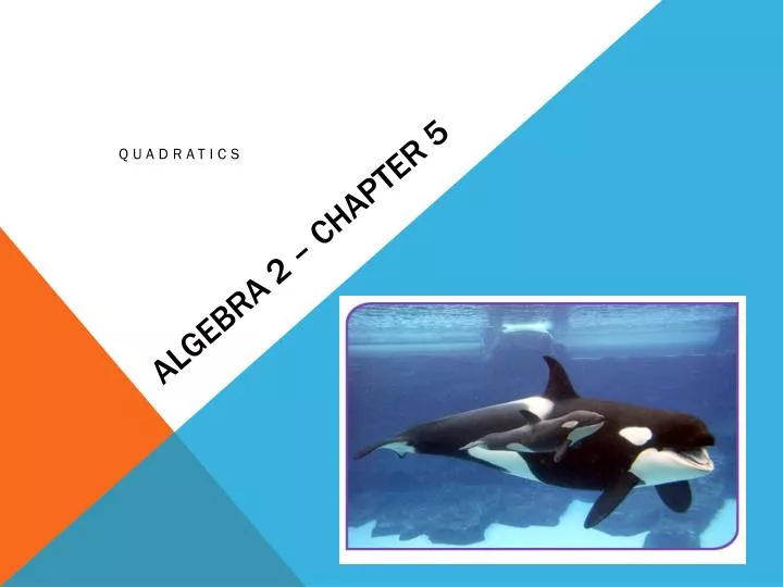 algebra 2 chapter 5