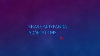 snake and panda adaptations