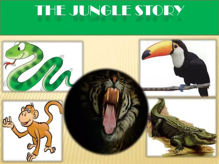 the jungle story