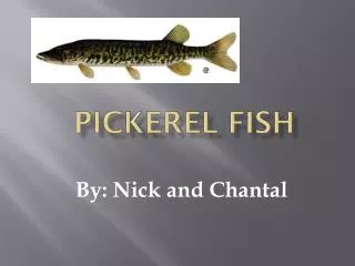 Pickerel Fish