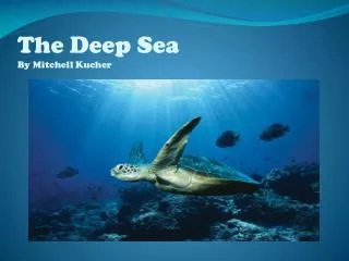 The Deep Sea By Mitchell Kucher