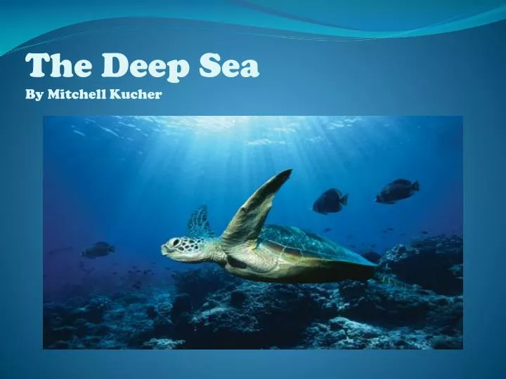 the deep sea by mitchell kucher