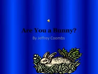 Are You a Bunny?