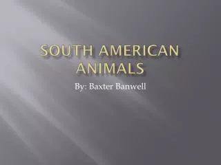 South american animals