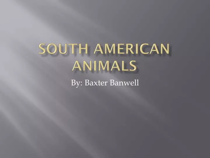 south american animals