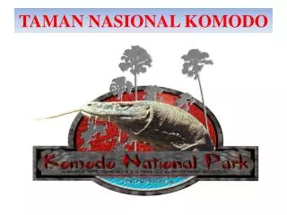taman nasional komodo