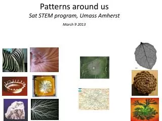 Patterns around us Sat STEM program, Umass Amherst
