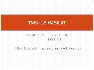 tms 18 hasilat