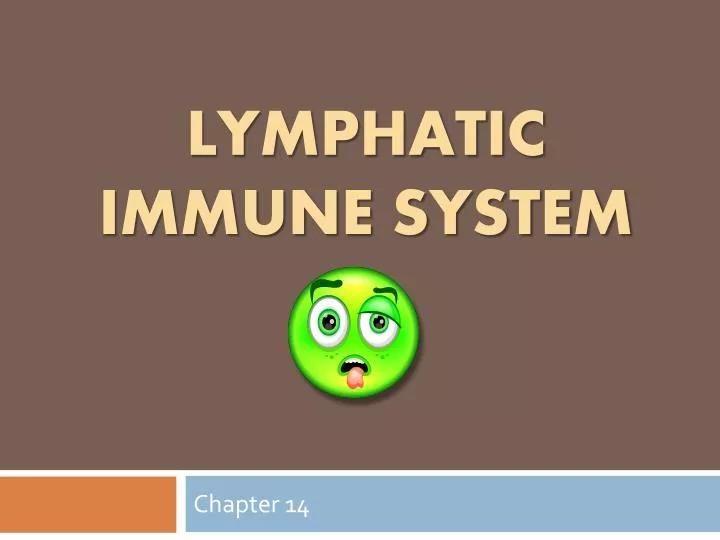 lymphatic immune system