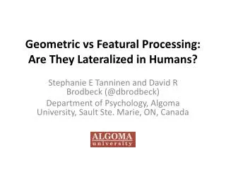 Geometric vs Featural Processing : Are They Lateralized in Humans ?