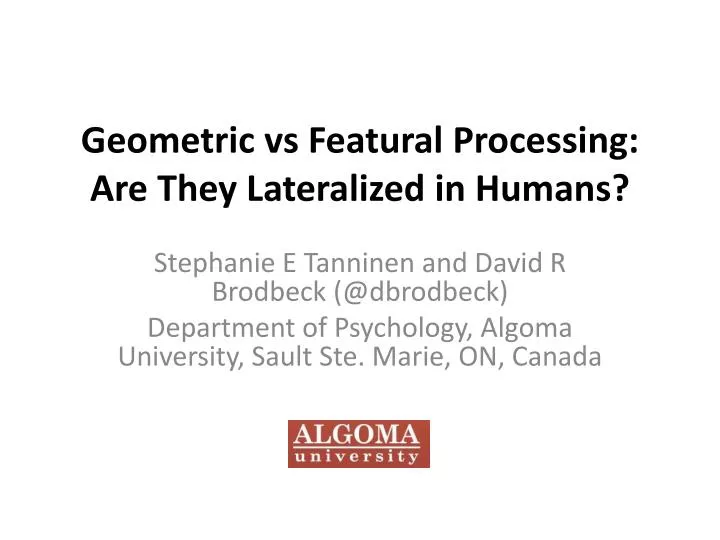 geometric vs featural processing are they lateralized in humans