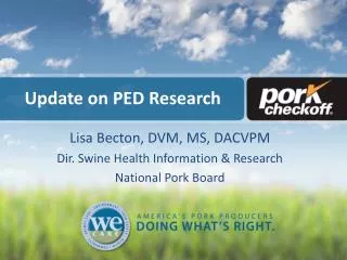 Update on PED Research