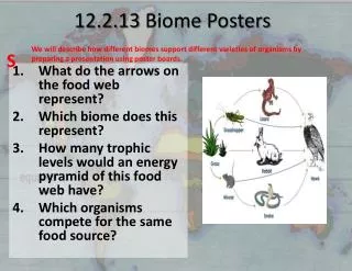 12.2.13 Biome Posters