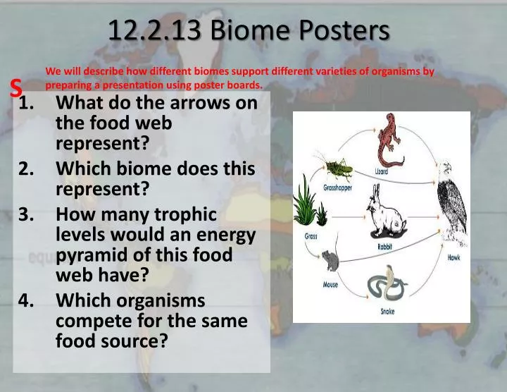 12 2 13 biome posters