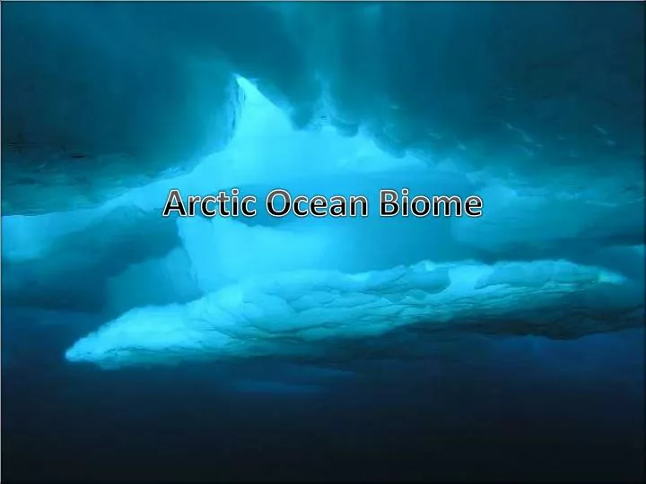 arctic ocean biome