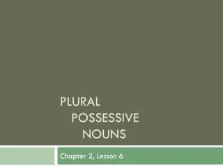 plural possessive nouns