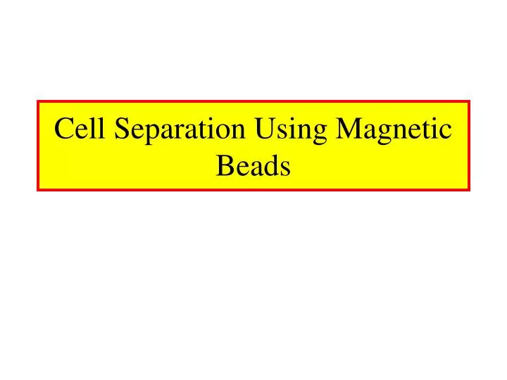 cell separation using magnetic beads