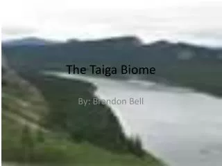 The Taiga Biome