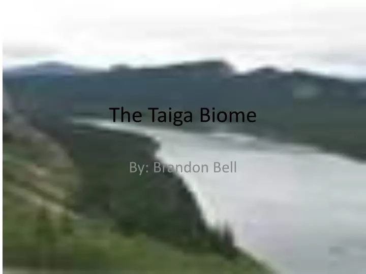 PPT - The Taiga Biome Presented By: Anish Agarwal PowerPoint