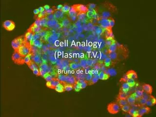 Cell Analogy (Plasma T.V.)