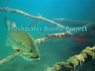 Freshwater Biome Project
