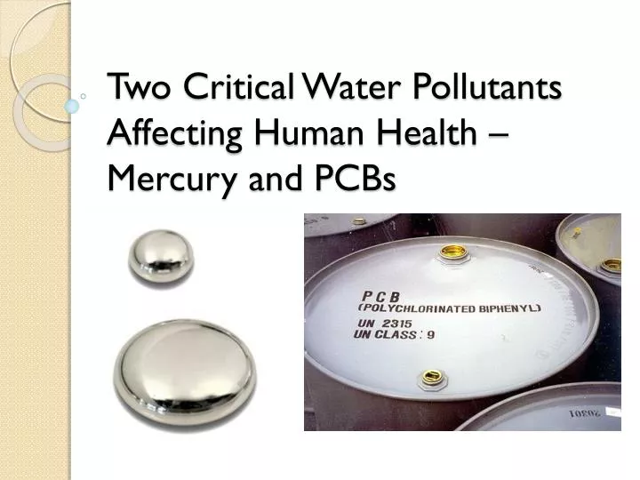 two critical water pollutants affecting human health mercury and pcbs