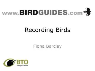 Recording Birds