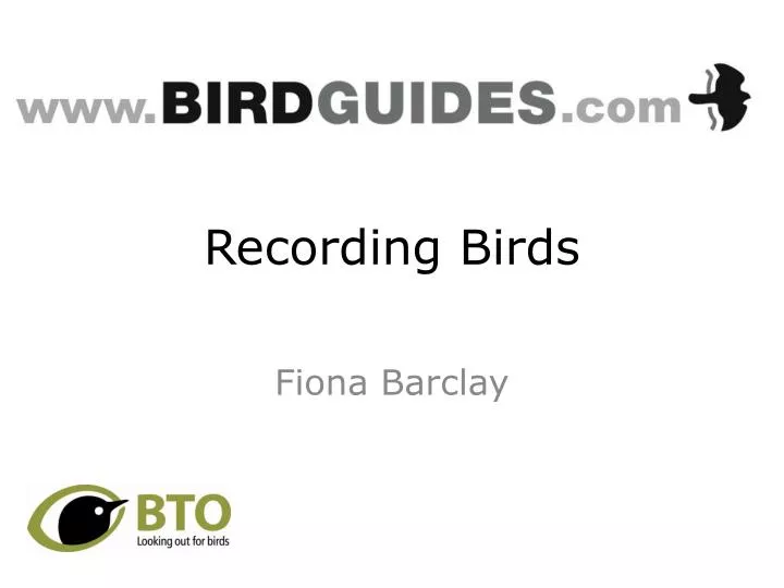 recording birds
