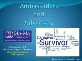 Ambassadors and Advocacy
