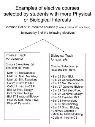 Examples of elective courses selected by students with more Physical or Biological Interests