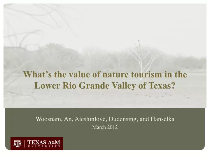 what s the value of nature tourism in the lower rio grande valley of texas