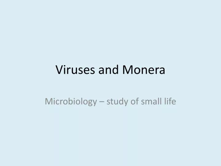 viruses and monera