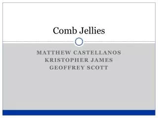 Comb Jellies
