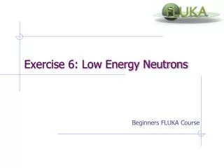 Exercise 6: Low Energy Neutrons