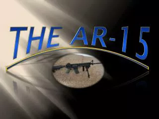 The AR-15