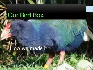 Our Bird Box