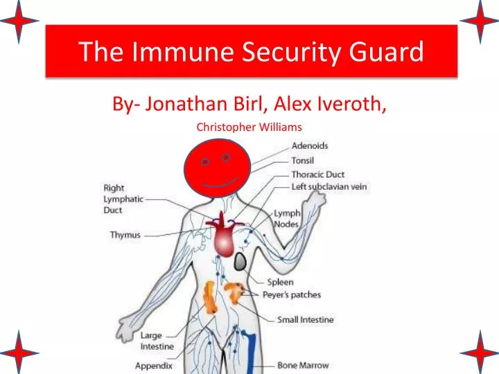 the immune security guard