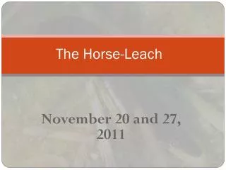 The Horse-Leach